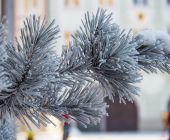 Winter in Rosenheim_04