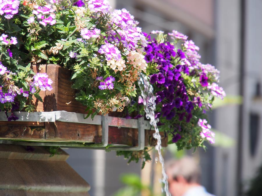 gautrachtenfest_rosenheim_063