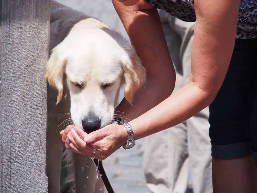 gautrachtenfest_rosenheim_071