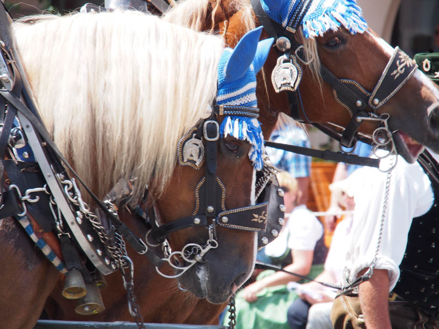 gautrachtenfest_rosenheim_146