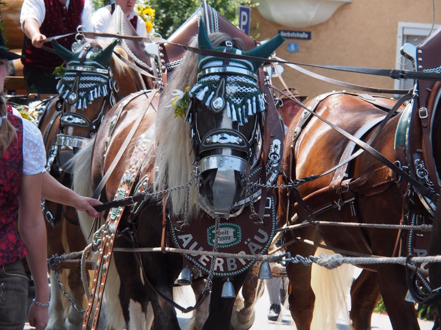 gautrachtenfest_rosenheim_180