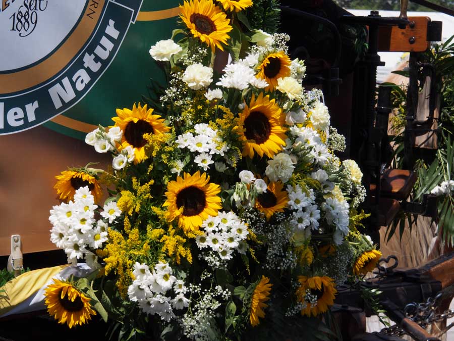 gautrachtenfest_rosenheim_181