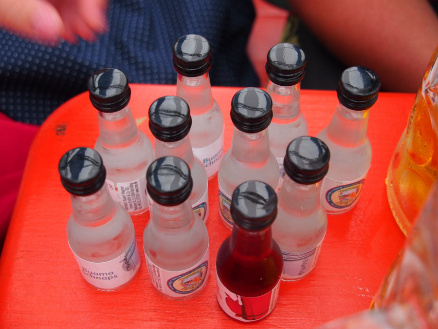 gautrachtenfest_rosenheim_196