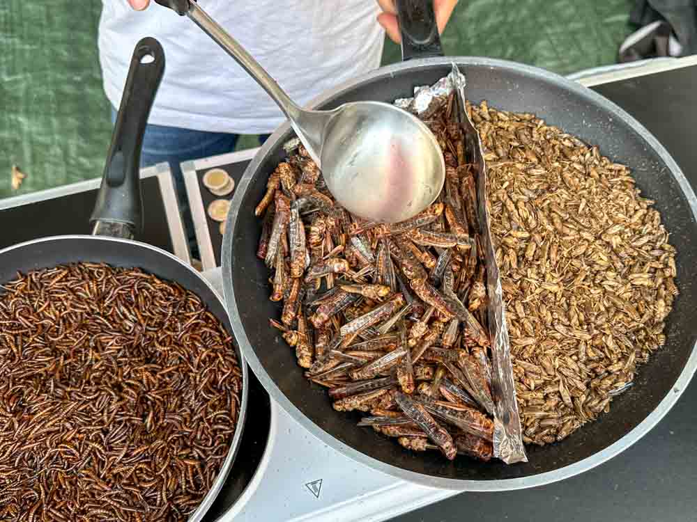 street food market©stadttipps rosenheim 066