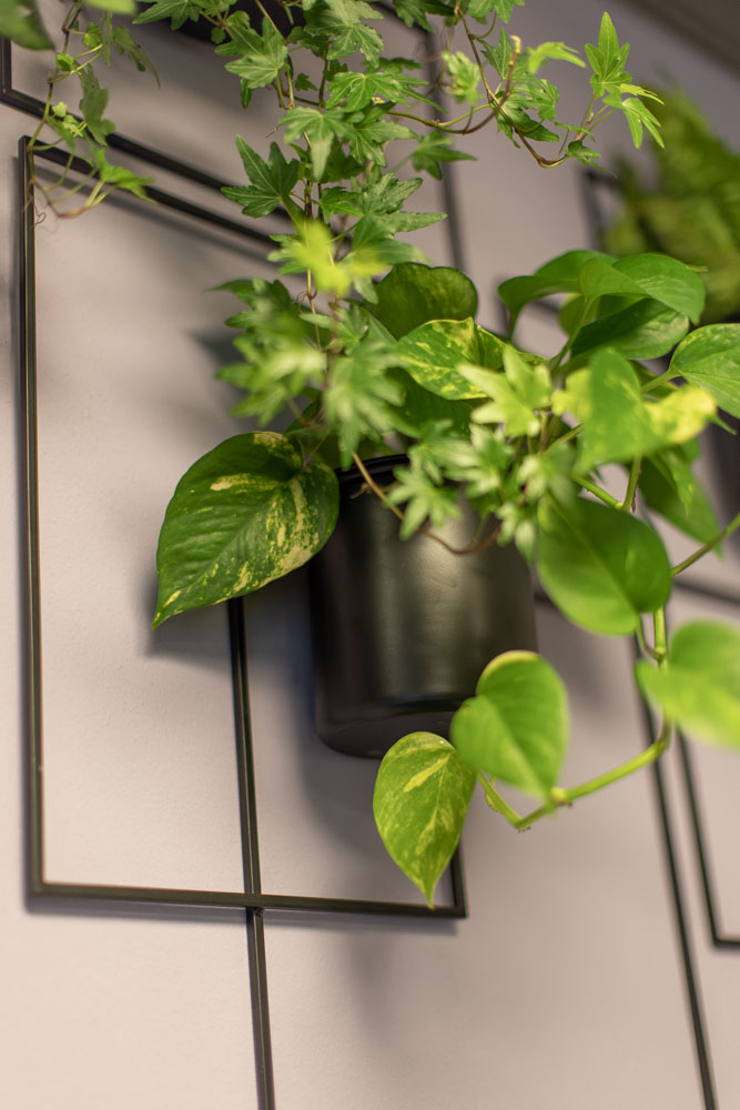 haarcenter_hess_rosenheim©silvia_weiss_photography_024