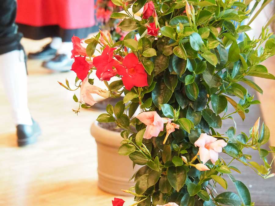 bundespraesident_steinmeier_kuko_010