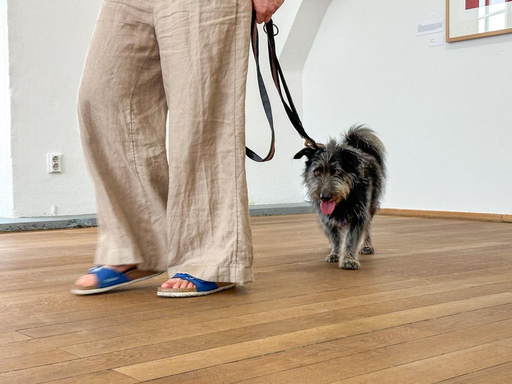 120_jahre_kunstverein_copyright_stadttipps_rosenheim_40