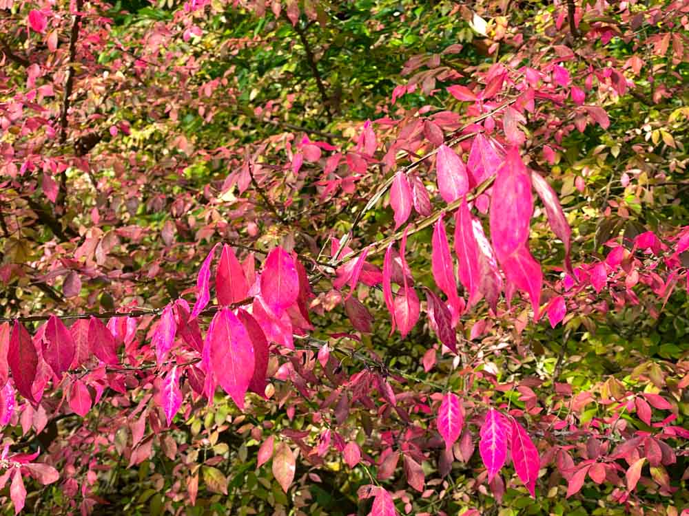 herbst_stadttipps_rosenheim_031