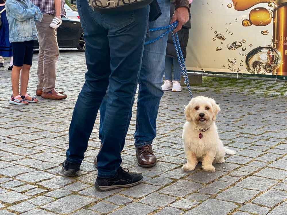 eroeffnung_sommer_in_rosenheim©stadttipps_rosenheim_108