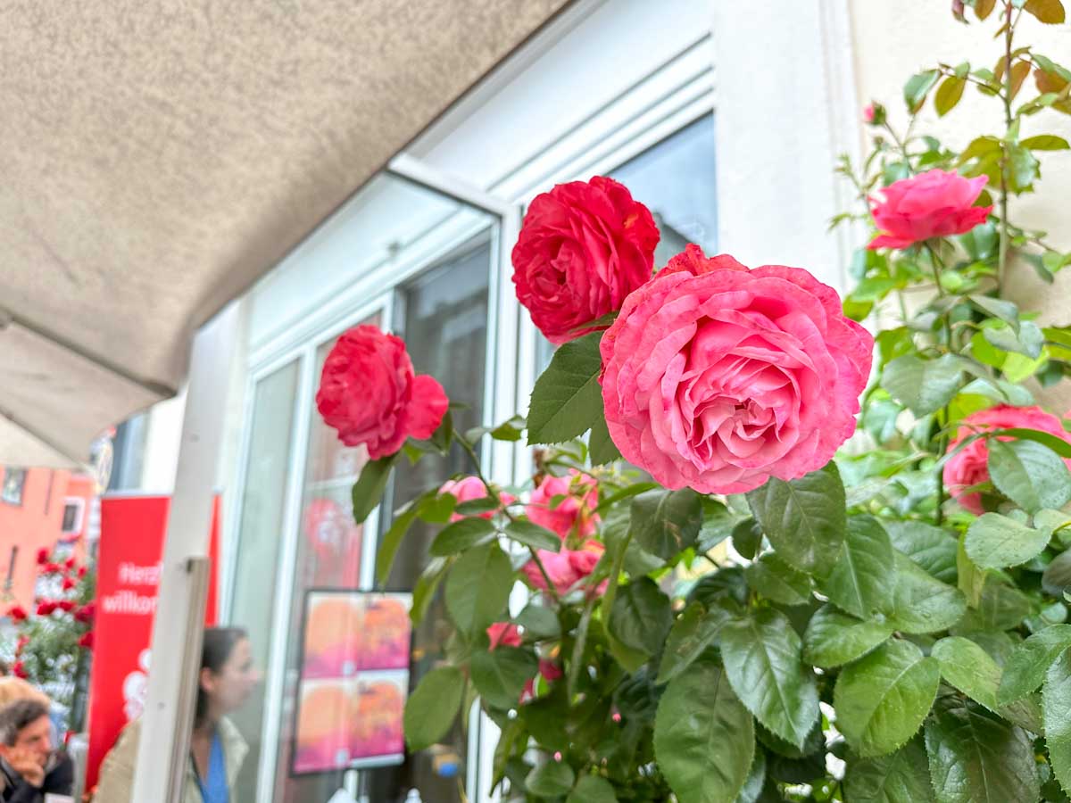 eroeffnung_sommerinrosenheim_2024_copyright_stadttipps_rosenheim_044