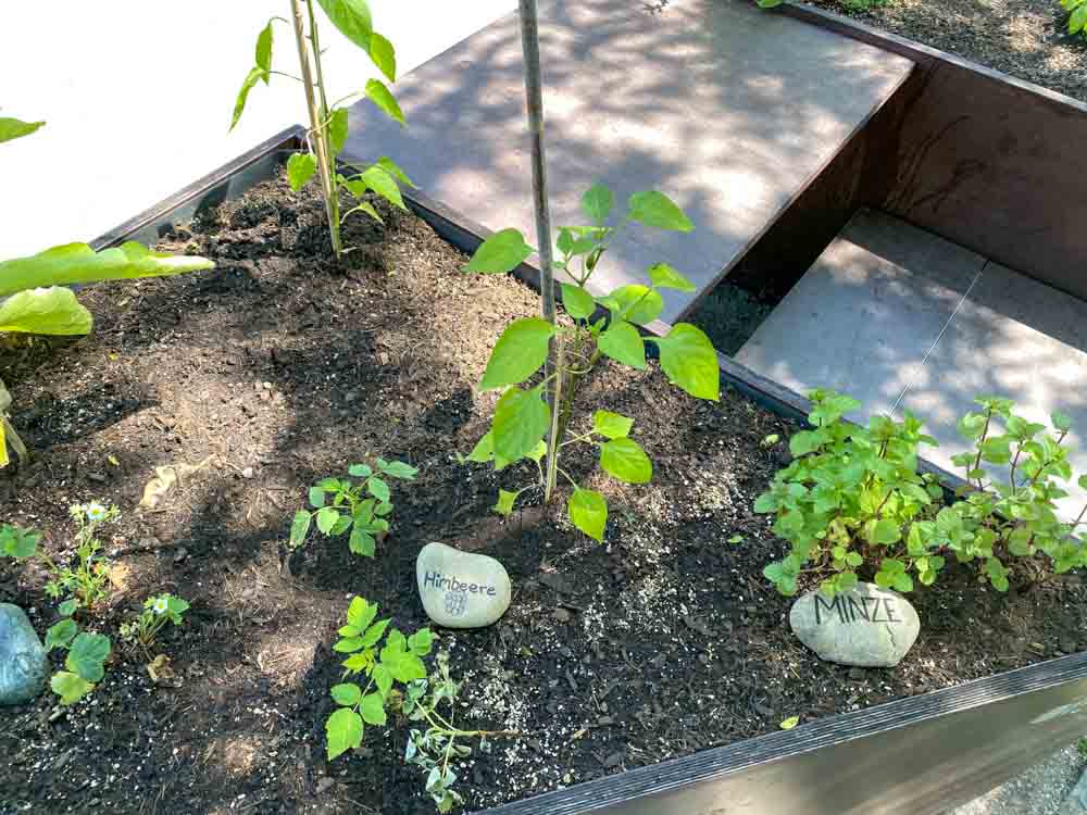 hochbeet planzen salzstadel©stadttipps rosenheim