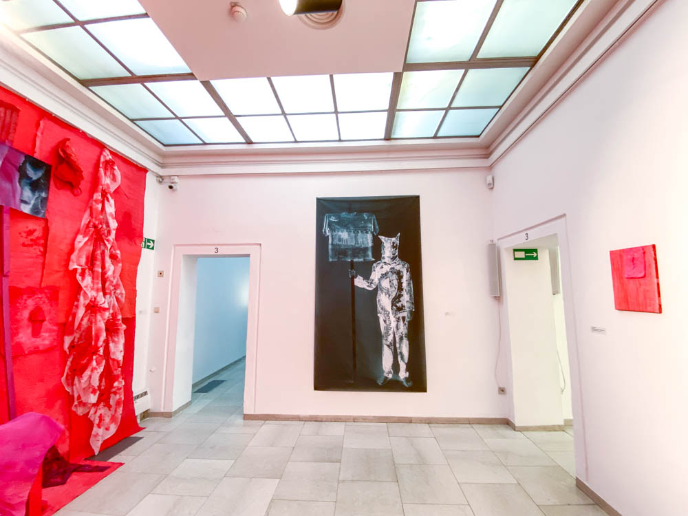 ausstellung_separat_waschen_staedtische_galerie©stadttipps_rosenheim_032