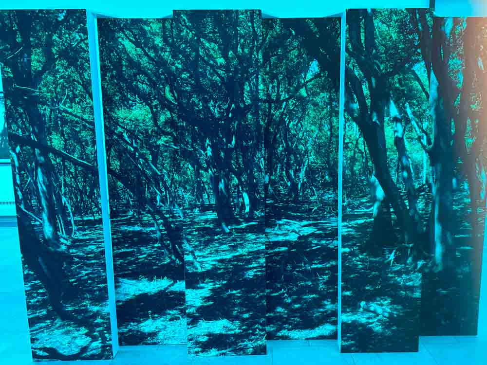 ausstellung verzweigt staedtische galerie©stadttipps rosenheim 070