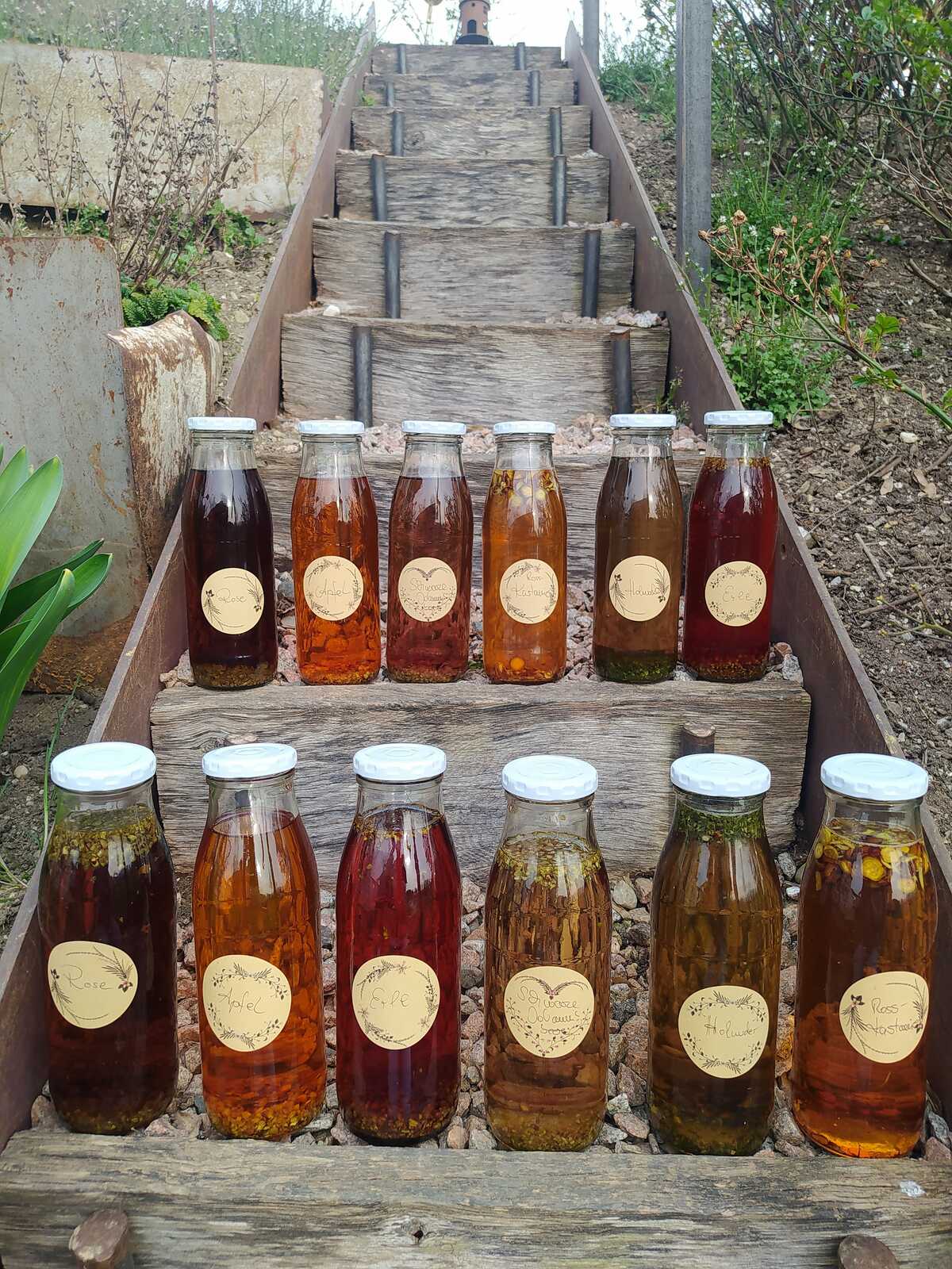 Lerne im Treffpunkt Grün Gemmomittel herzustellen