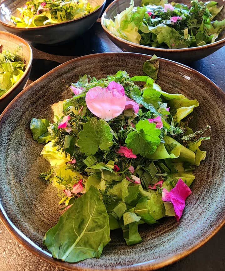 Kräuterexkursion ins Hangquellmoor mit Abendessen