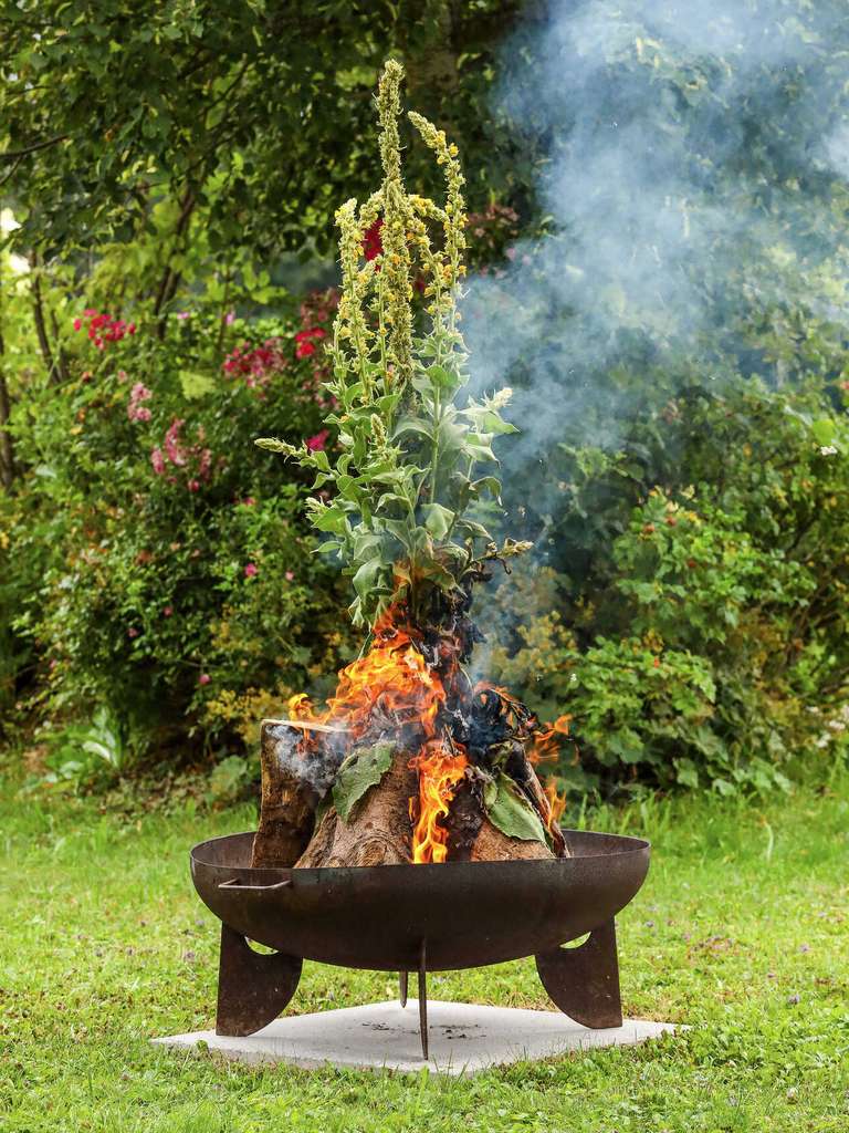 Sonnwendfeuer mit Kräuterlehrgang