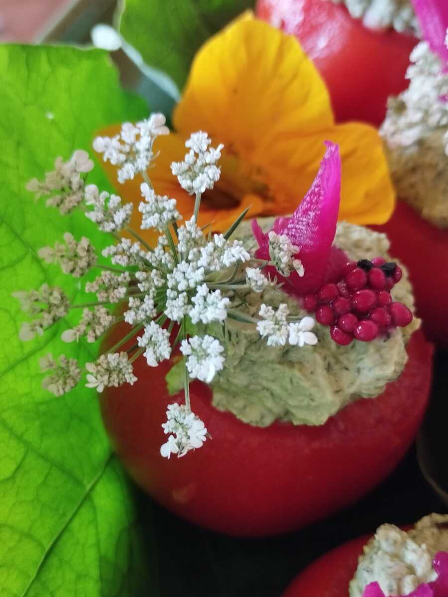 Fermentieren lernen mit sommerlichen Marktgemüse & Früchten!