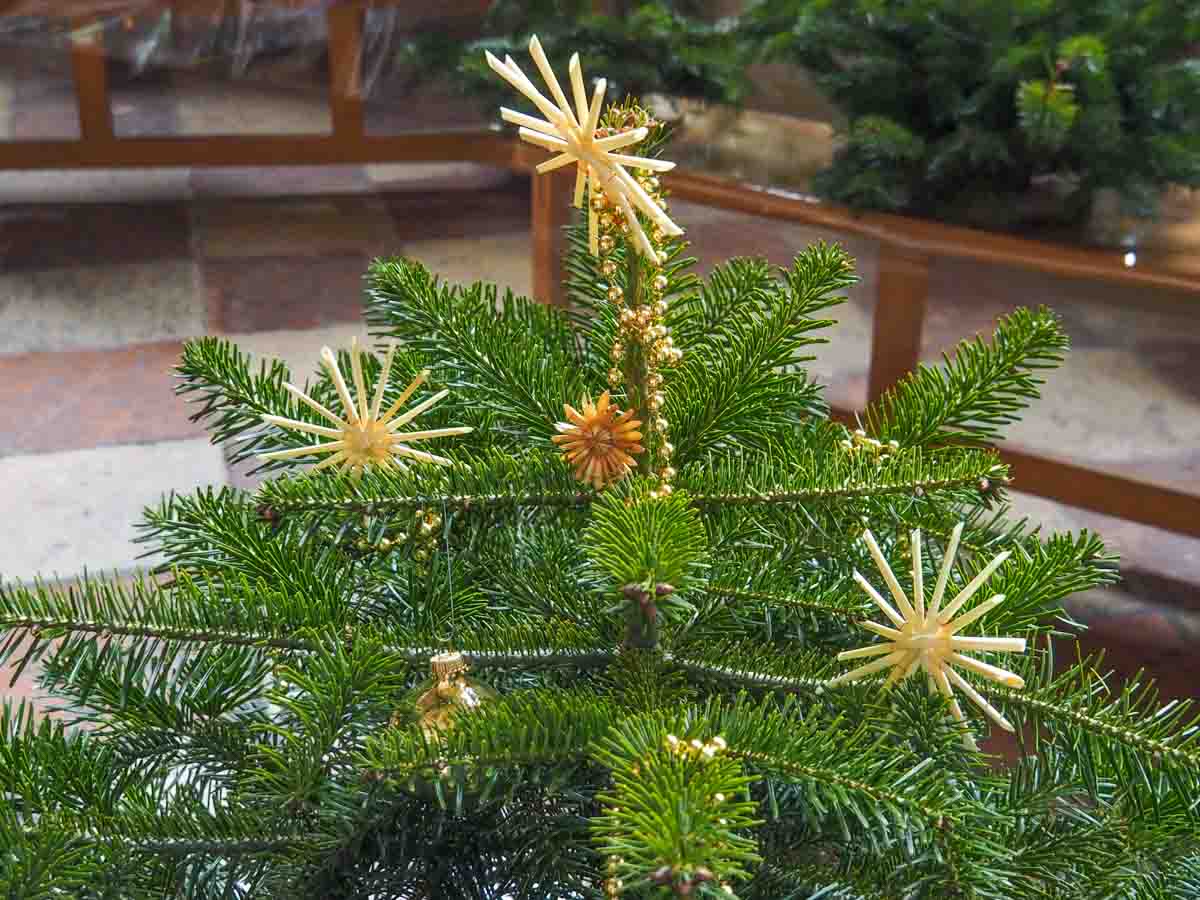 christbaumschmuecken wirtschaftlicher verband credit stadttipps 12