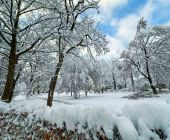 Wieder geöffnet: Friedhof, Parks, Spielplätze_03