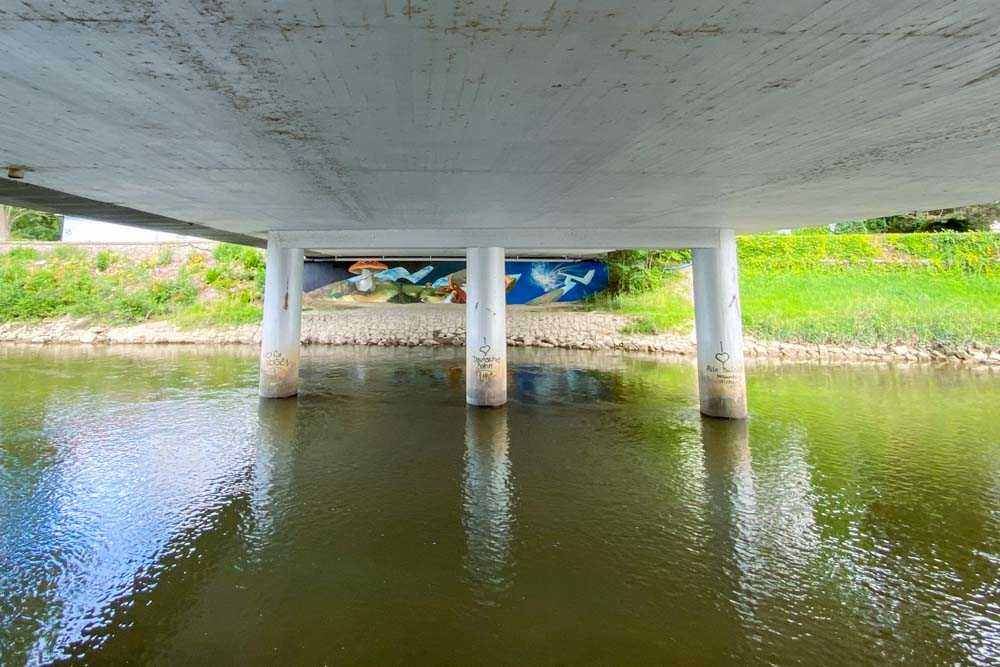 mangfallbruecke_loomit_mushrooms©stadttipps_rosenheim_01