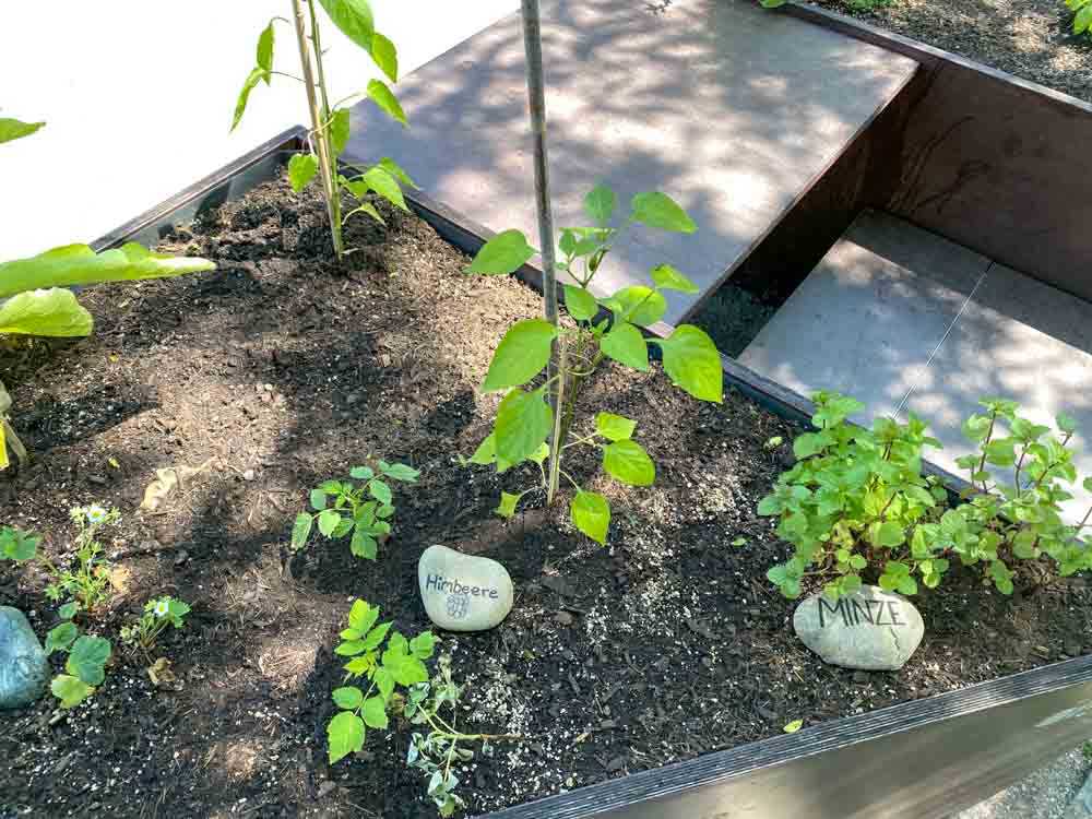 hochbeet_planzen_salzstadel©stadttipps_rosenheim