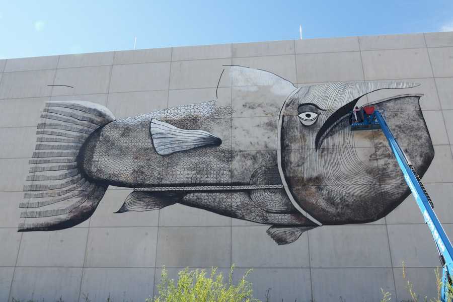 transit_art_festival_rosenheim_08