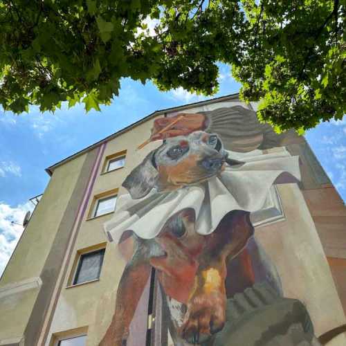 Case Maclaim »Rudy«