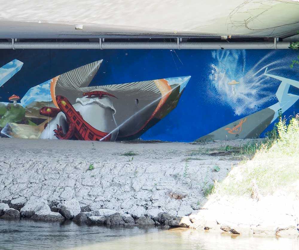 mangfallbruecke_loomit_mushrooms©stadttipps_rosenheim_07