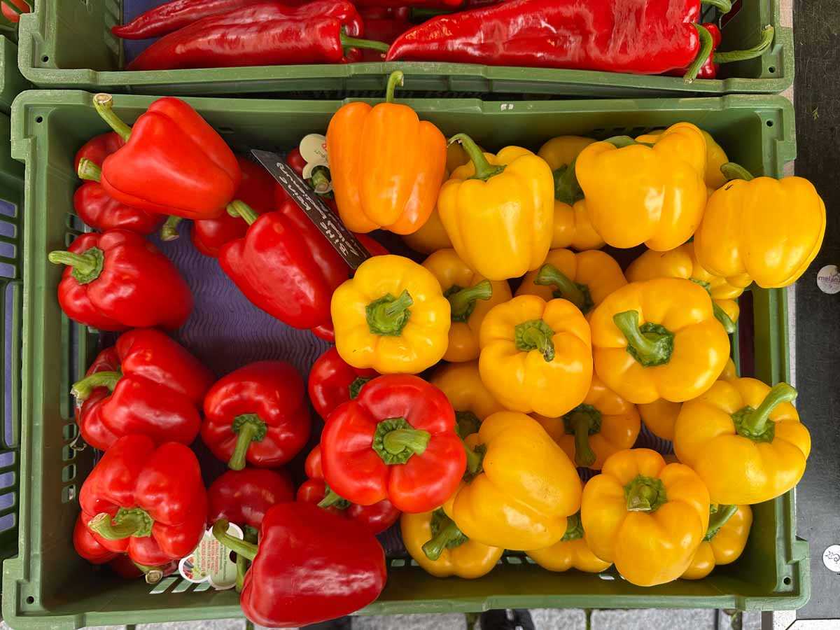 gruener_markt_ludwigsplatz_copyright_stadttipps_rosenheim_21