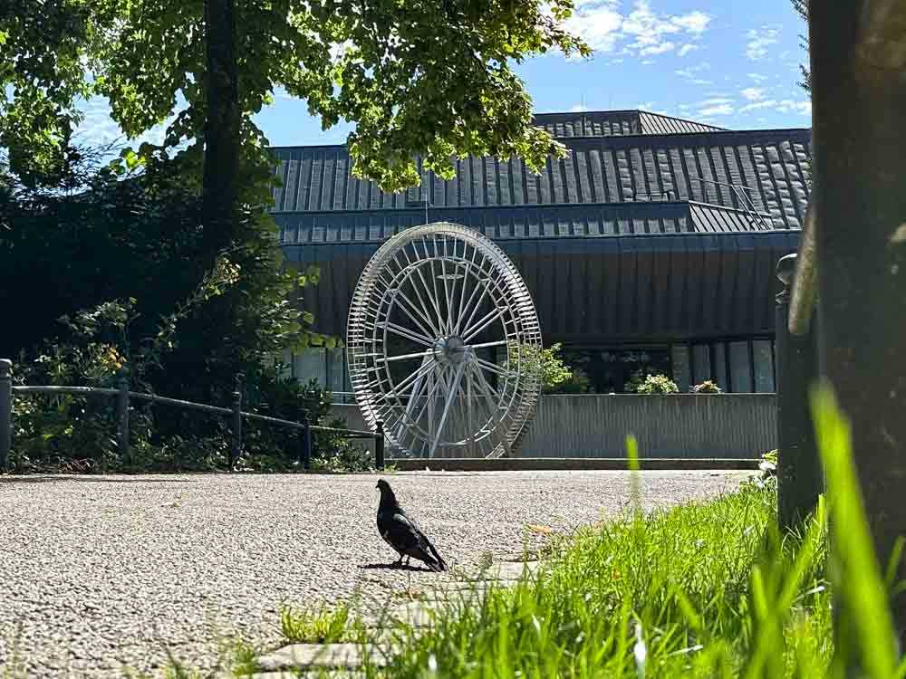 kuko_wasserrad_salingarten©stadttipps_rosenheim