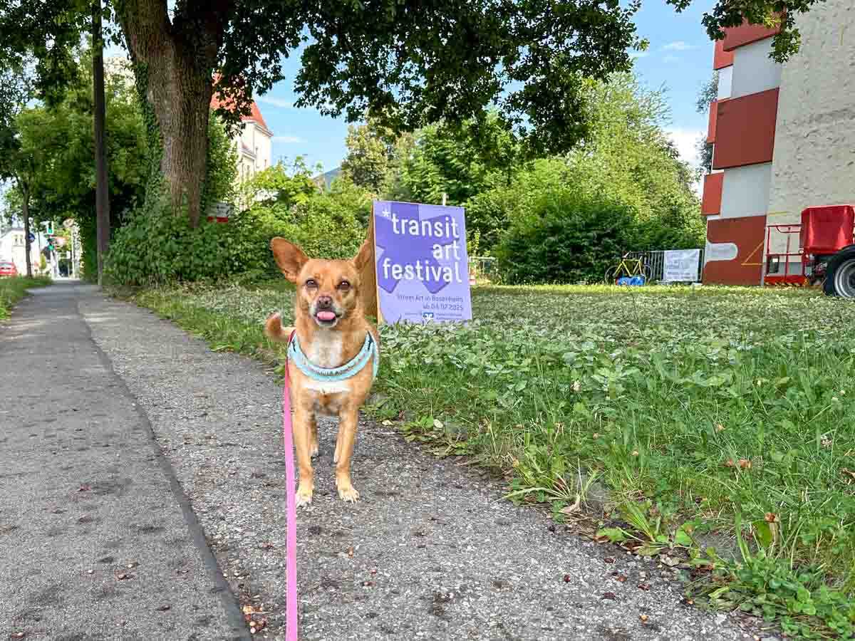 transitart-johannes-brechter-seniorenwohnheim-credit-stadttipps-rosenheim-05