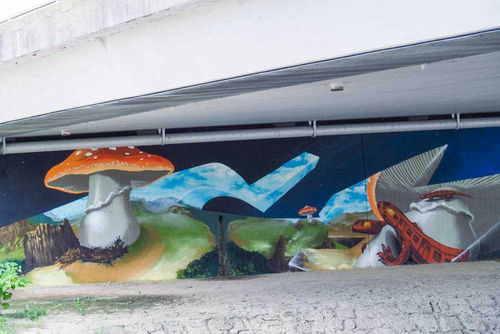 mangfallbruecke_loomit_mushrooms©stadttipps_rosenheim_06