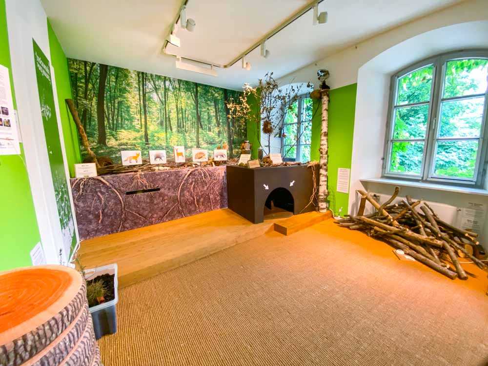 Nimm ein Waldbad im Holztechnischen Museum