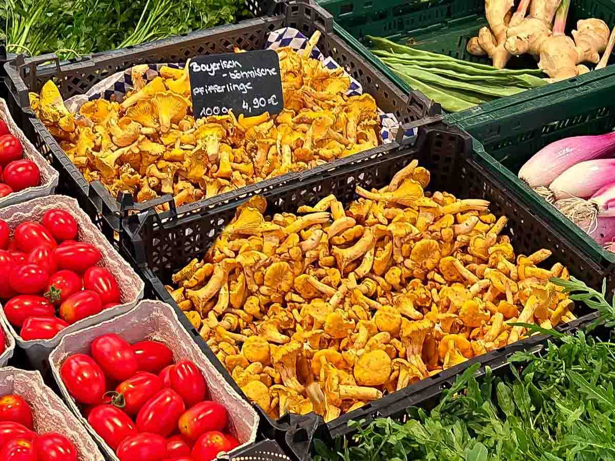 gruener_markt_ludwigsplatz_copyright_stadttipps_rosenheim_20