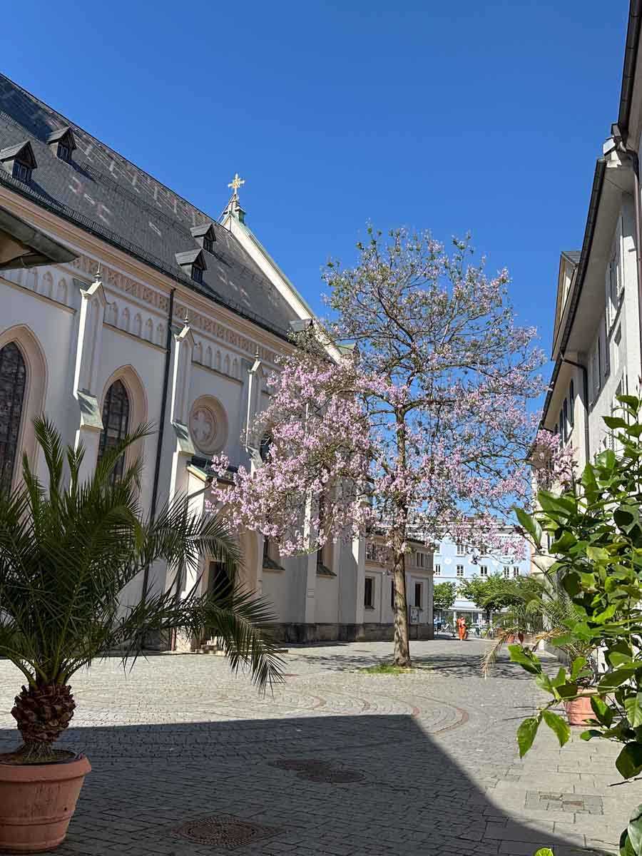 oelberg-baumbluete-credit-stadttipps-rosenheim-3x4