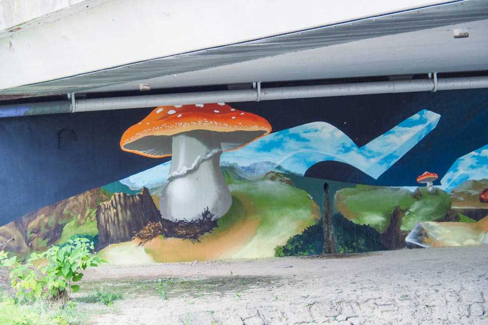 mangfallbruecke_loomit_mushrooms©stadttipps_rosenheim_05
