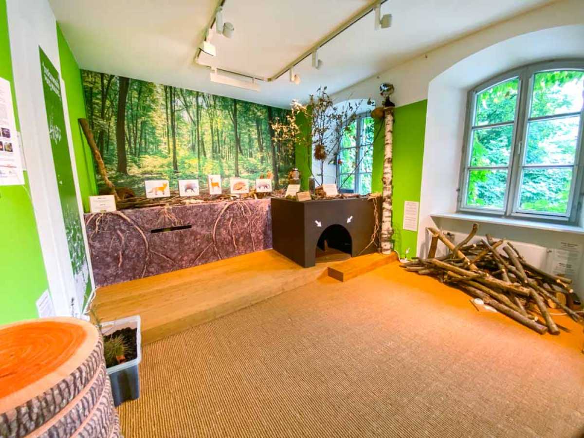 Nimm ein Waldbad im Holztechnischen Museum