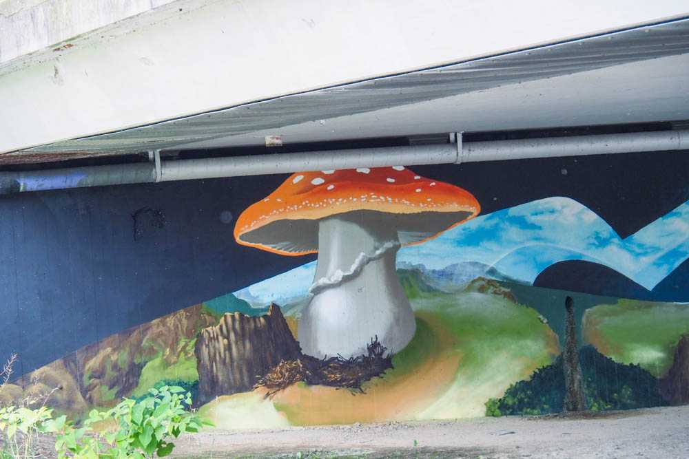 mangfallbruecke_loomit_mushrooms©stadttipps_rosenheim_04