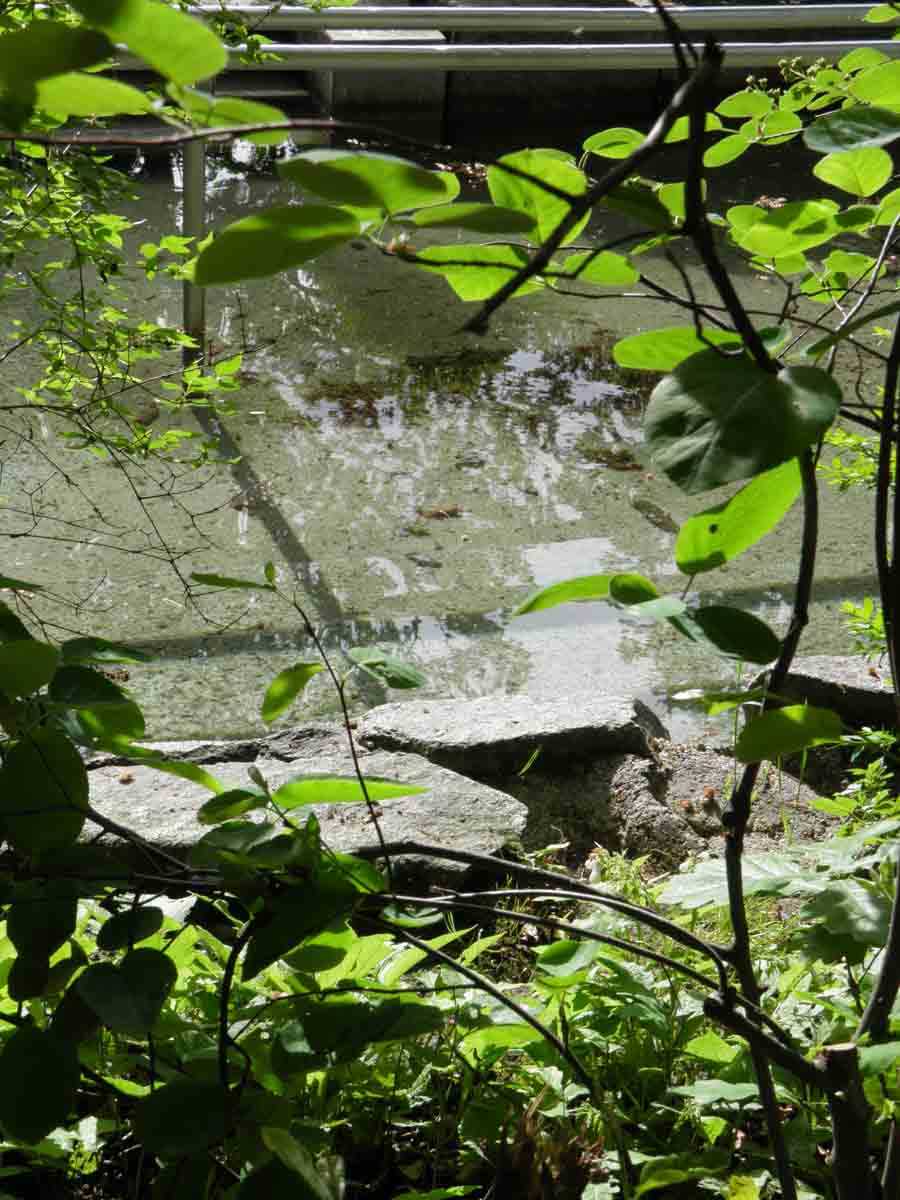 kneippanlage_rosenheim_copyright_stadttipps_rosenheim_02