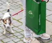 Verkaufsoffener Sonntag Rosenheim in Bewegung_02